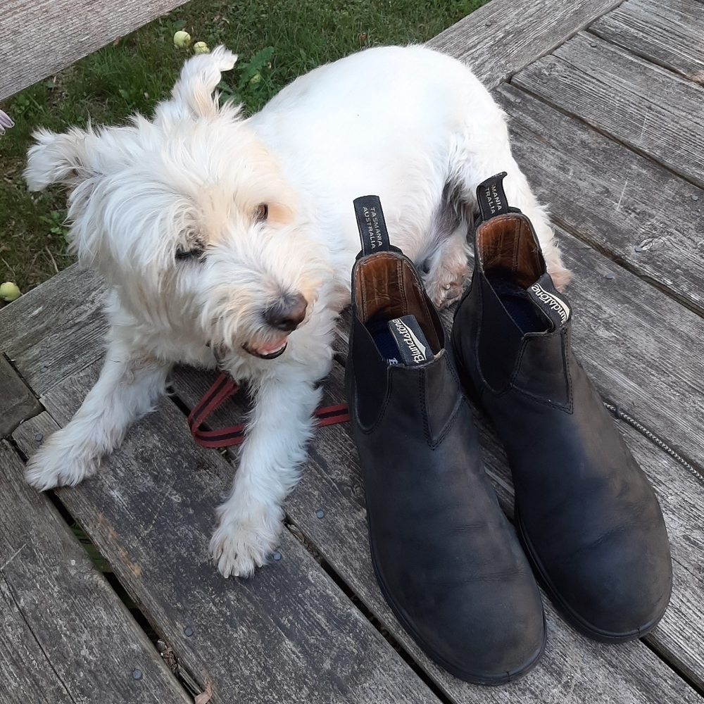 Mens Blundstone boots